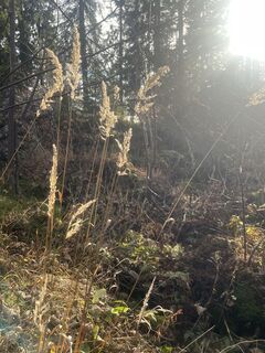 Fotografia z KlausM na trase