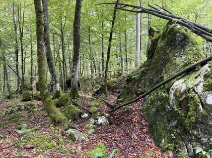 Foto von A Stadler entlang der Tour