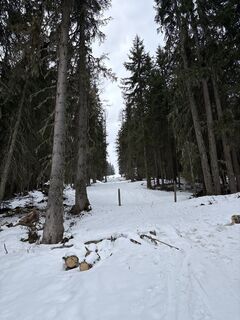 Photo de Heinz Sperl le long du parcours