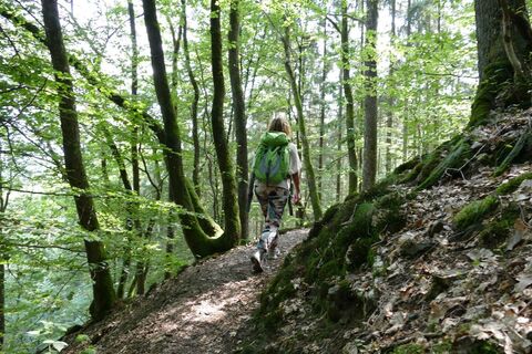 Unterwegs auf dem Künstlerweg