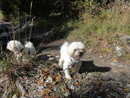 Schöckl von St. Radegund aus