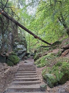 Photo de Franzis Schrammel le long du parcours