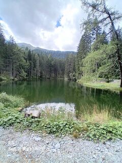 Photo de Schabsi le long du parcours