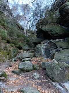 Foto van Felix Brandenburger langs de tour