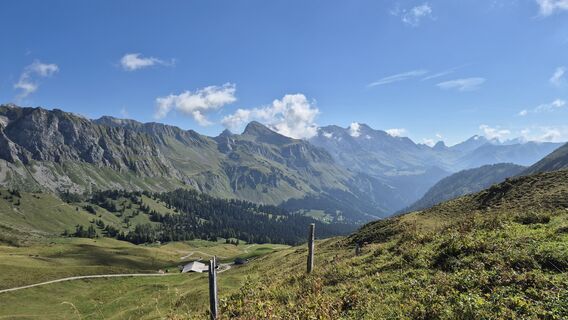 Fotografia z alinradu na trase