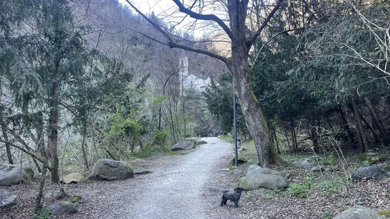 Fotografija s spletne strani Lis Malzach na poti
