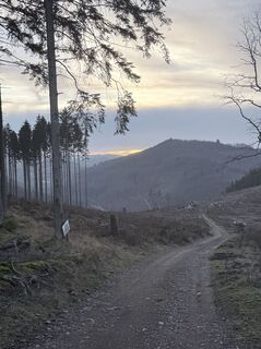 Foto de Justin Besting a lo largo del recorrido