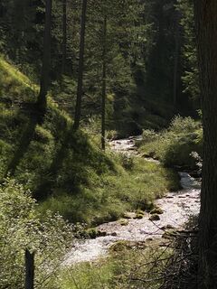 Fotografie z Dagmar Gaertner na trase