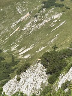 Fotografia z Andrea Opitz-Jandrisits na trase