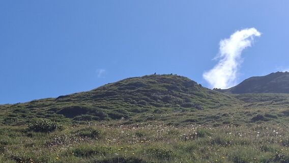 Foto von Martin Kreidl 3 entlang der Tour