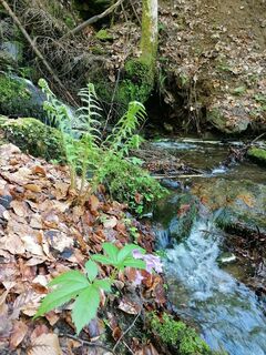 Fotografie z Dagmar Hofer na trase