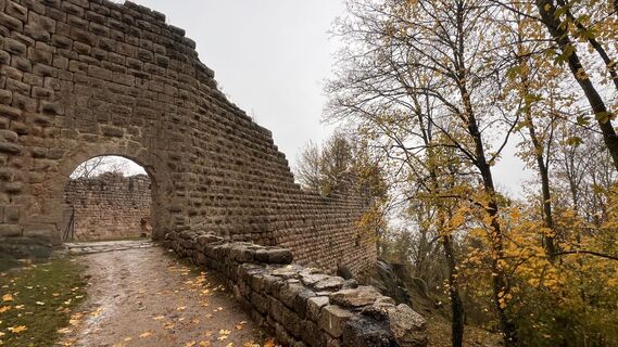 Foto da Ansgar Unde Vrederun lungo il tour