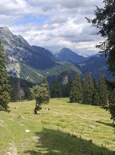 Photo de Gustl le long du parcours