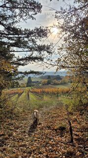 Fotografie z Claudia Maurer na trase