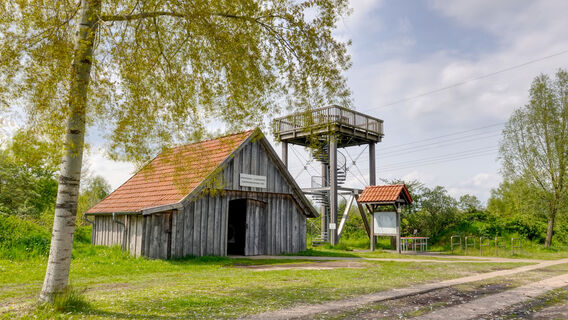 Kapellenmoor in Lathen - Aussichtsturm ©Emsland Tourismus GmbH (1).jpg