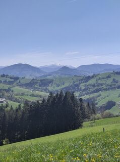 Fotografia z Chr Lenz na trase