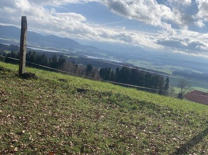 Фото с сайта Karl 6String во время экскурсии