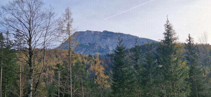 Foto von Utassy Tóth Johanna entlang der Tour