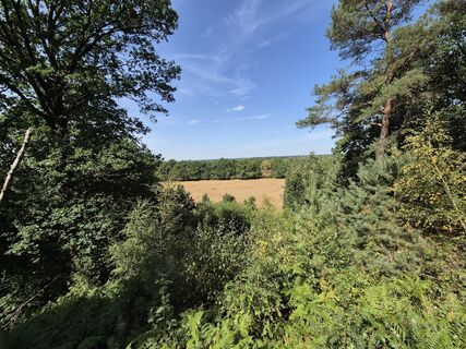 Fotografia z Hans ten Brink na trase
