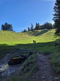 Fotó a Greg+Lisa honlapról a túra során