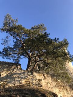 Foto von Mathias Junge 1 entlang der Tour