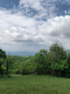 Foto de Julika Jármer a lo largo del recorrido