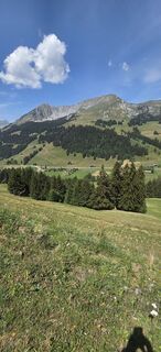 Photo de Filip Gorremans le long du parcours