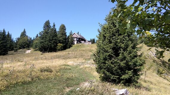 Foto de gottfriede a lo largo del recorrido