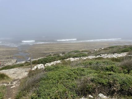 Photo de Florian Brandt le long du parcours