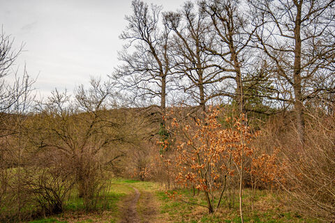 Foto von Ekhard Oberleitner entlang der Tour