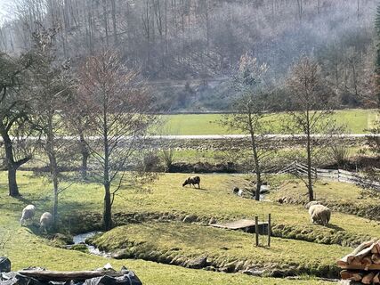 Foto de Marco Schmid 2 a lo largo del recorrido