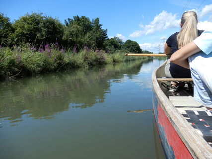Wiener Neustädter Kanal