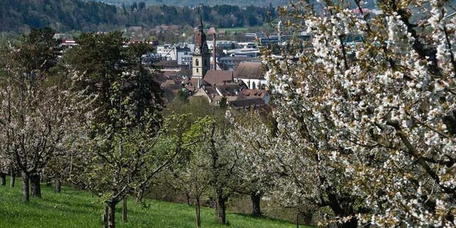 Heiteren Aussicht