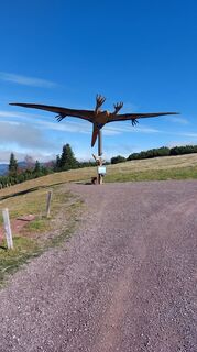 Photo de Thomas Berensmann le long du parcours