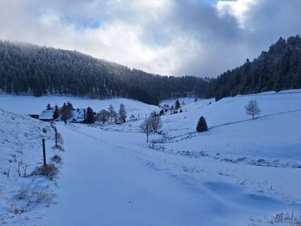 Foto von Katharina entlang der Tour