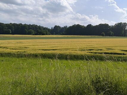 Foto von Umweltmueller1 entlang der Tour