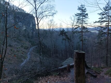 Foto van Felix Brandenburger langs de tour