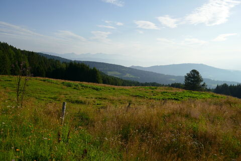 gestartet habe ich nicht all zu früh