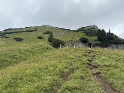 Foto von Michael Schuller entlang der Tour