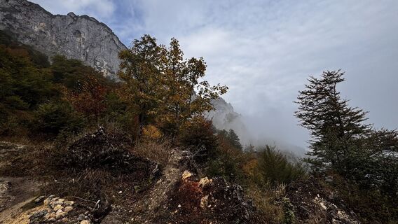 Foto von Simon Beisheim 1 entlang der Tour