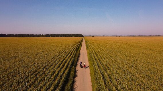 Radeln Sie durch die ruhige Landschaft
