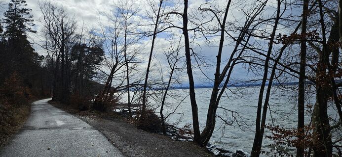 Photo de garrincha le long du parcours