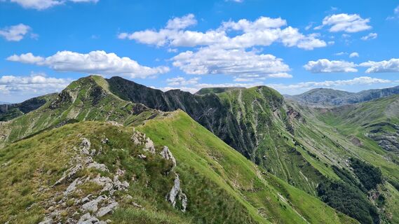 Fotografija s spletne strani dino eminagic na poti