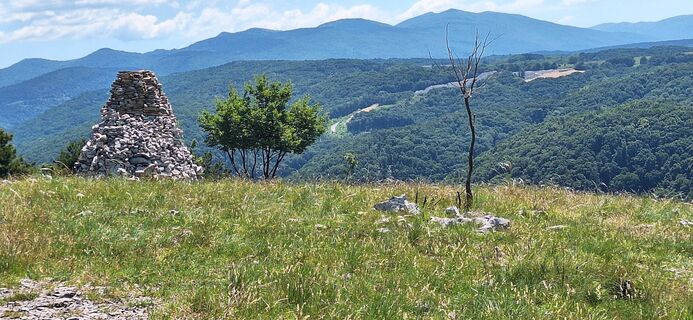 Fotografia z thomasfr na trase