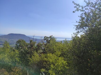Photo de Làszló Visi le long du parcours
