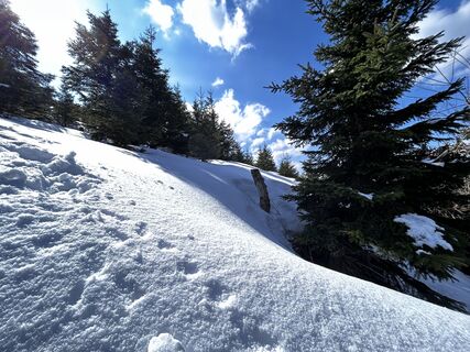 Fotografija s spletne strani Rowena Raubach na poti