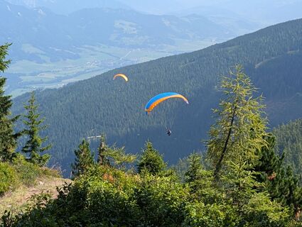 Photo de Martina Tschapka le long du parcours
