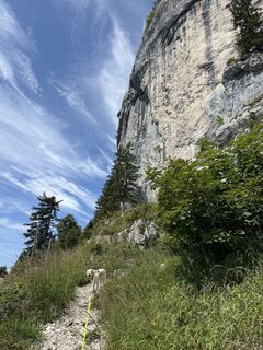 Photo de Nina Wolf le long du parcours