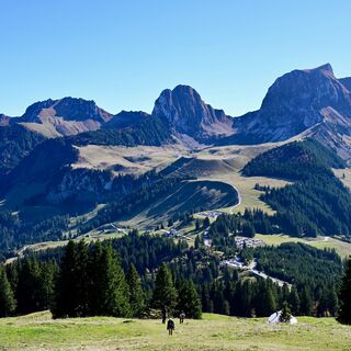 Aussicht auf Gantrischkette - Selibühl Trailrun