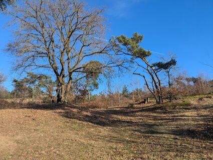 Photo de Matje Derks le long du parcours